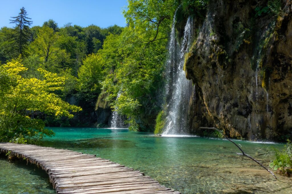 Image by unsplash